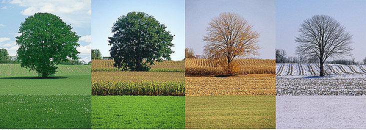 《乐高地平线大冒险》正式面向PS5＆PC＆NS公布